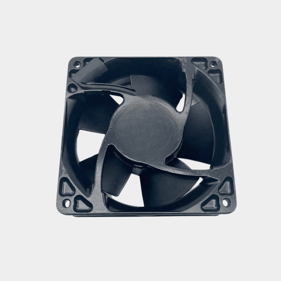 Fan